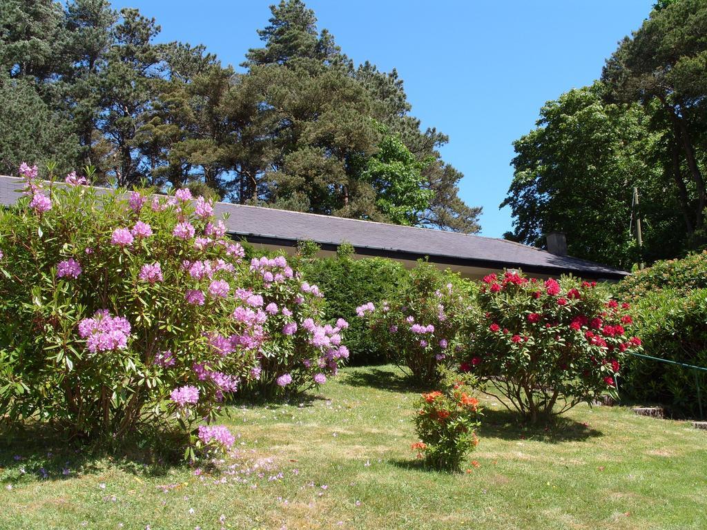 Plas Heulog Holiday Accommodation Llanfairfechan Extérieur photo
